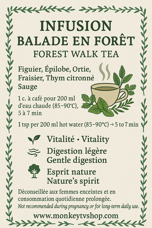 Infusion balade en forêt