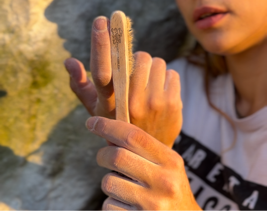 Brosse petite en bois