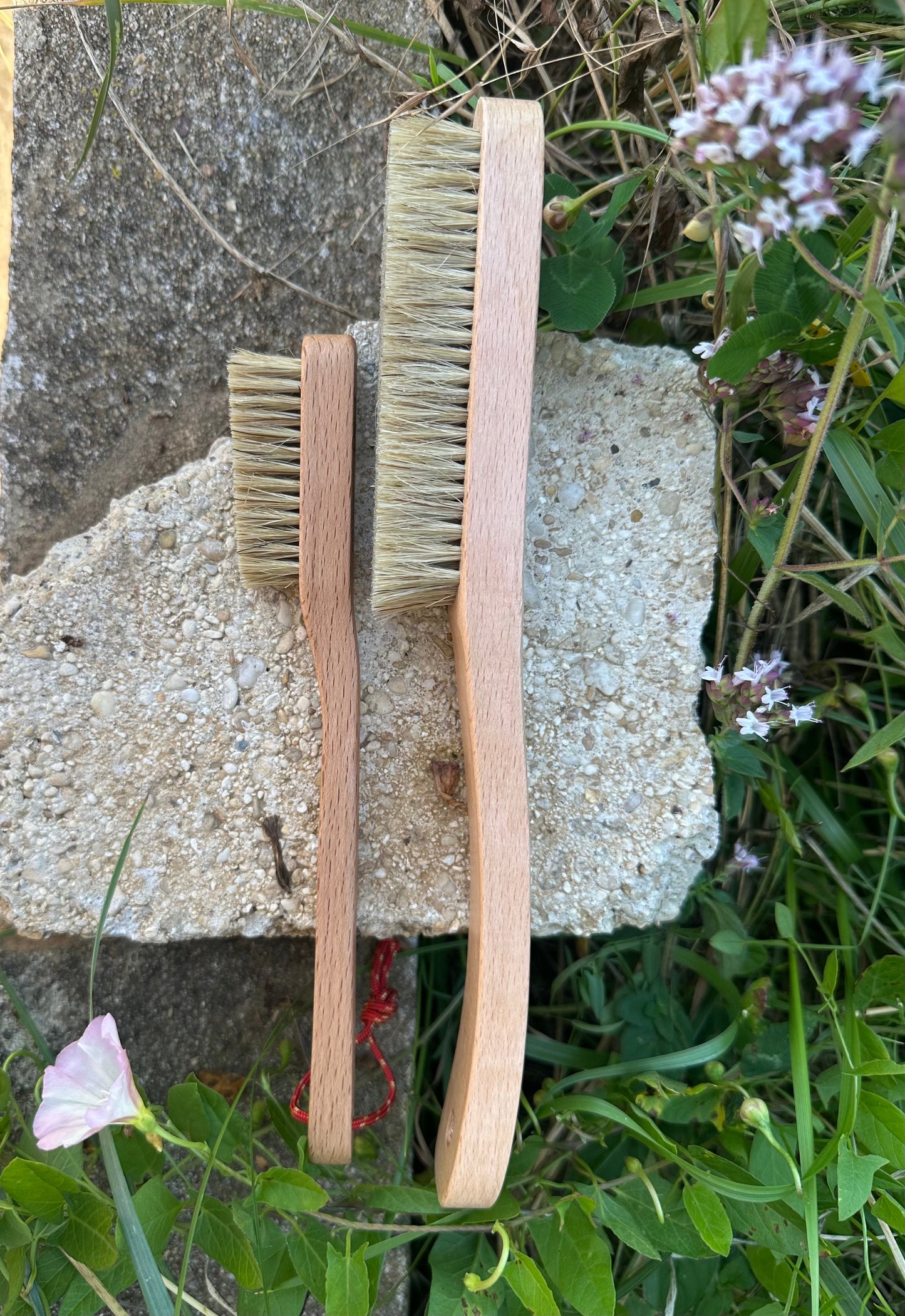Brosse petite en bois