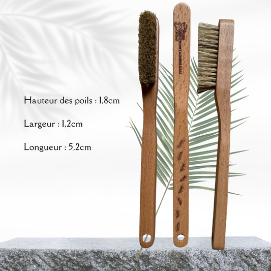 Brosse en bois Monkey fougère