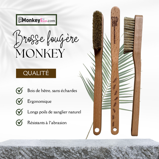 Brosse en bois Monkey fougère
