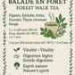 Infusion balade en forêt