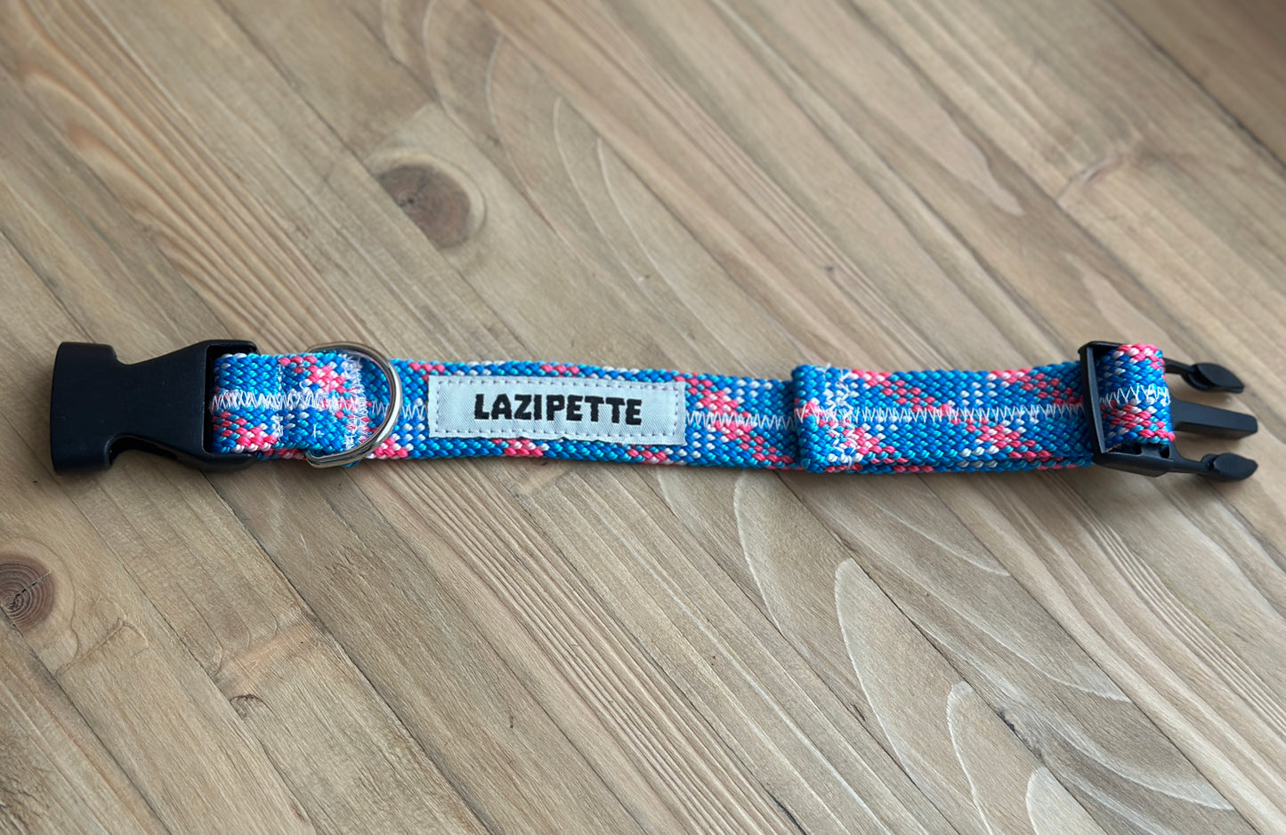 Laisse et collier pour chien ou chat