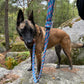 Laisse pour chien ou chat