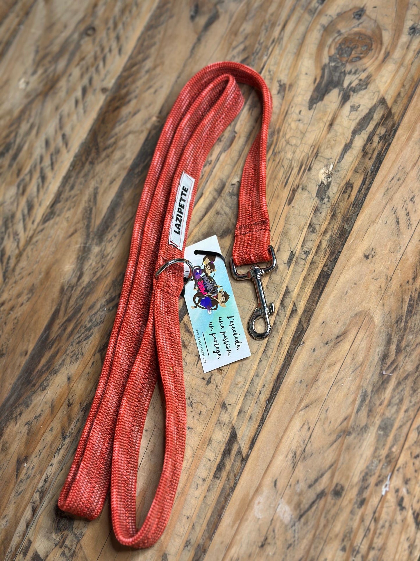 Laisse pour animaux - chien, chat
