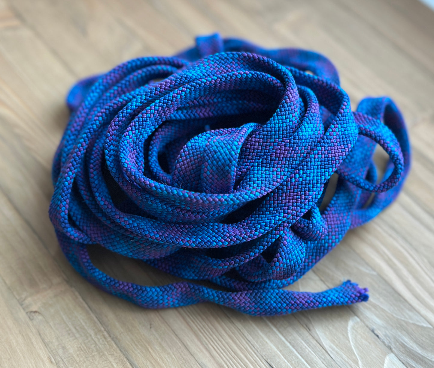 Laisse et collier pour chien ou chat