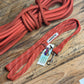 Laisse pour animaux - chien, chat
