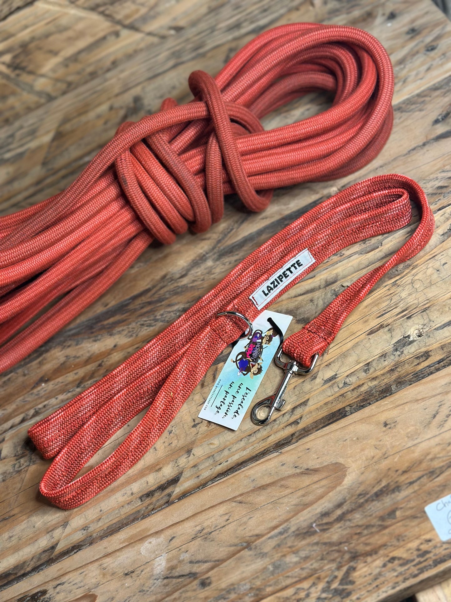 Laisse pour animaux - chien, chat
