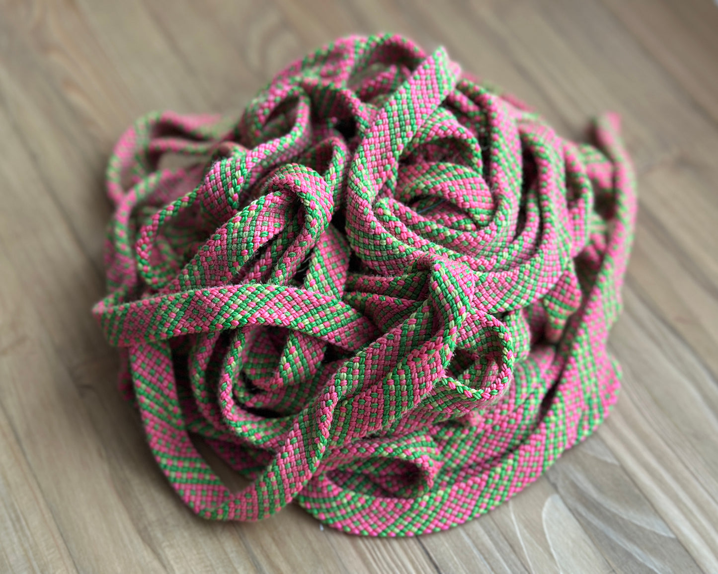 Laisse et collier pour chien ou chat