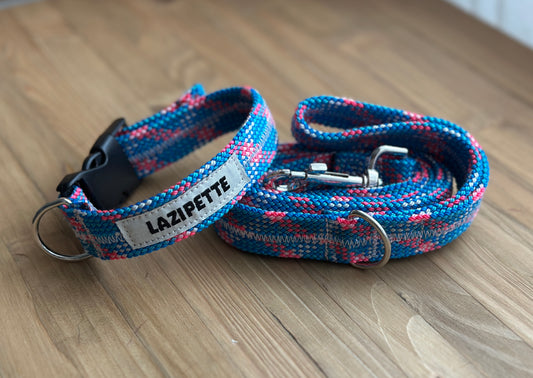 Laisse et collier pour chien ou chat