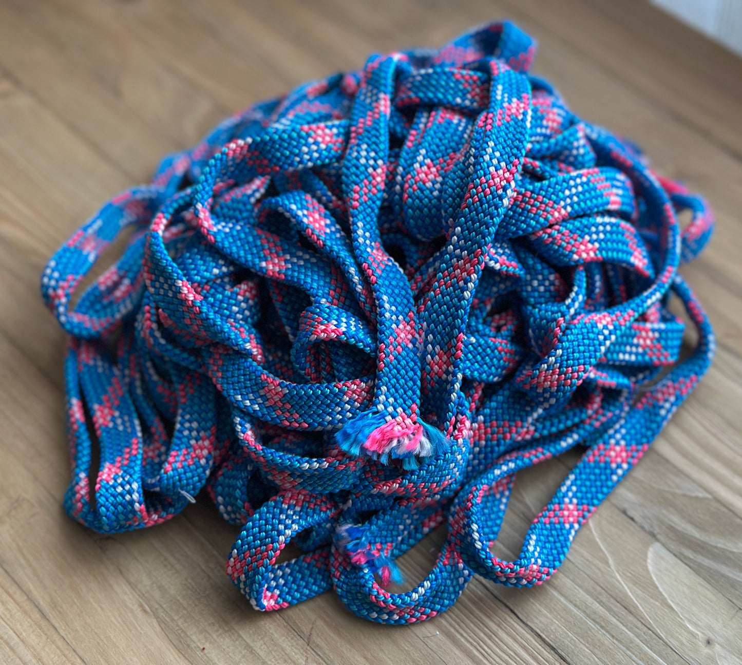 Laisse et collier pour chien ou chat